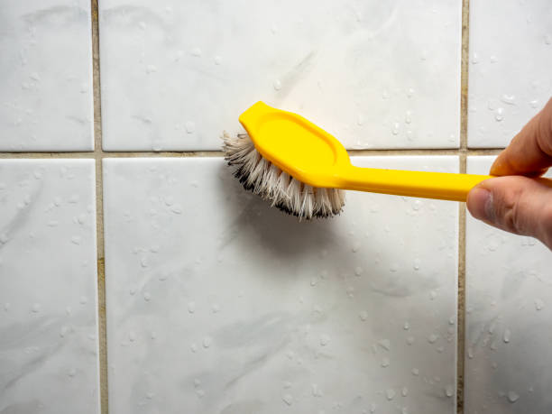 Mold Testing and Removal in Edgecliff Village, TX