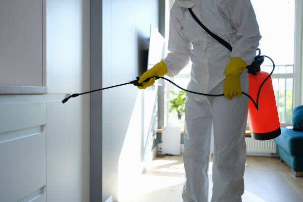 Edgecliff Village, TX Mold Removal Company