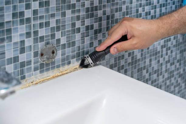 Trusted Edgecliff Village, TX Mold Removal Experts
