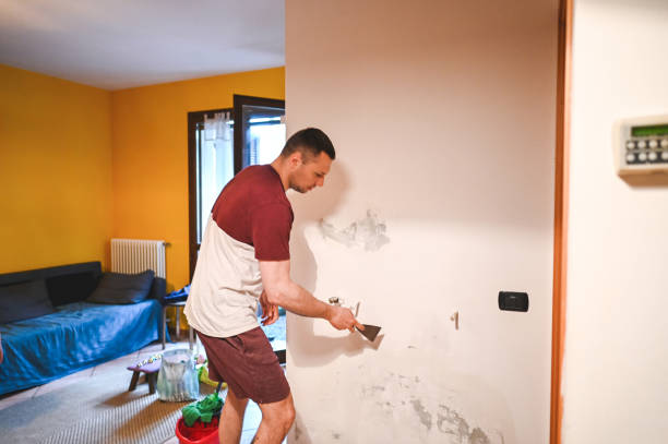 Best Office Mold Removal Services  in Edgecliff Village, TX